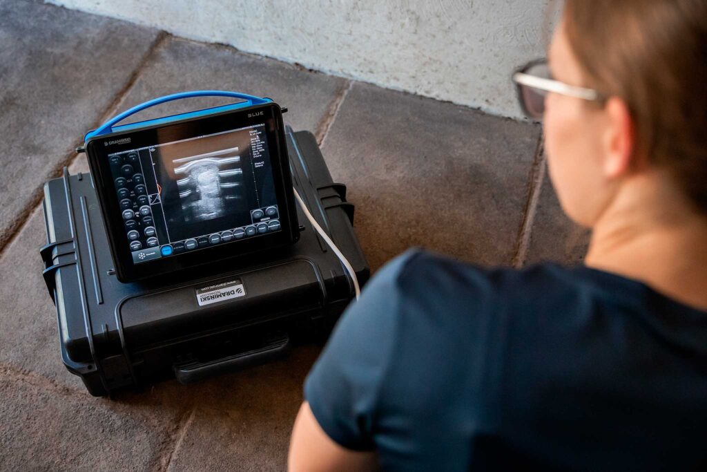 Ultraschall Pferd, Sonografie Pferd, Lahmheit Tierarzt